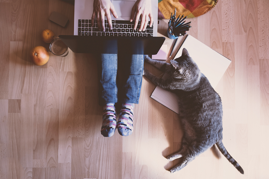 osoba s laptopom i mačka