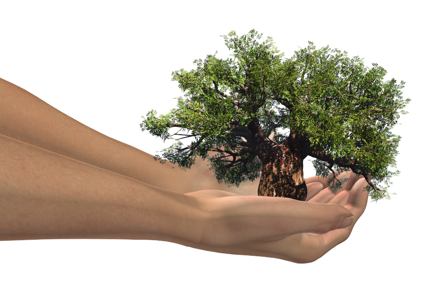Kampanja “Zasadi stablo, ne budi panj”