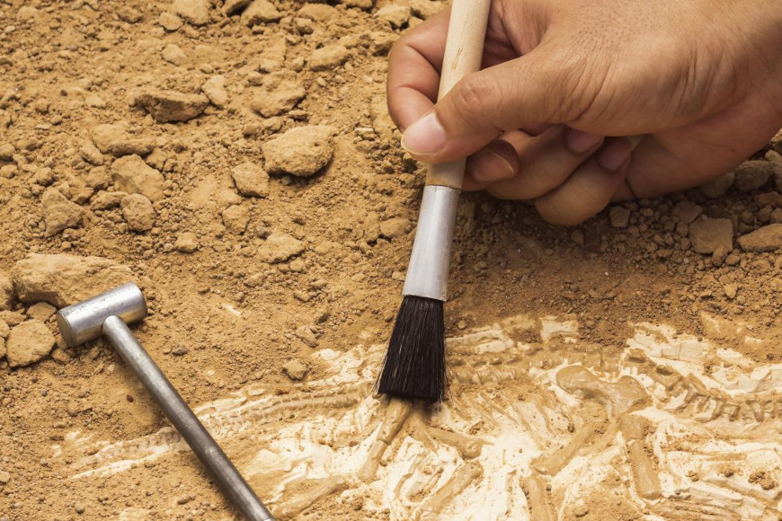 Novi arheološki pronalazak iz pećine Vlakno otkriva brojne informacije o paleolitiku
