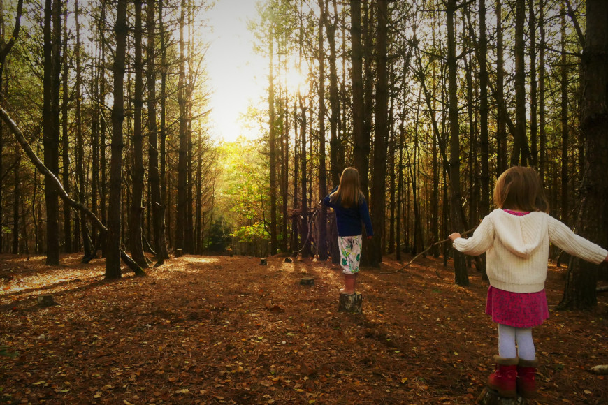 Utjecaj šetnji kroz šumu na zdravlje
