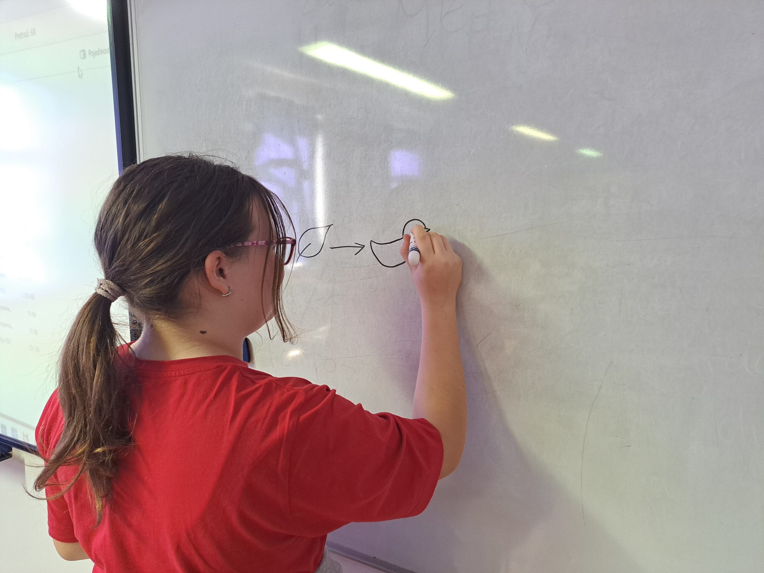 Učenica crtežom na ploči objašnjava pojam hranidbeni lanac.